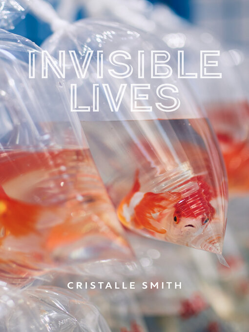Cover image for Invisible Lives